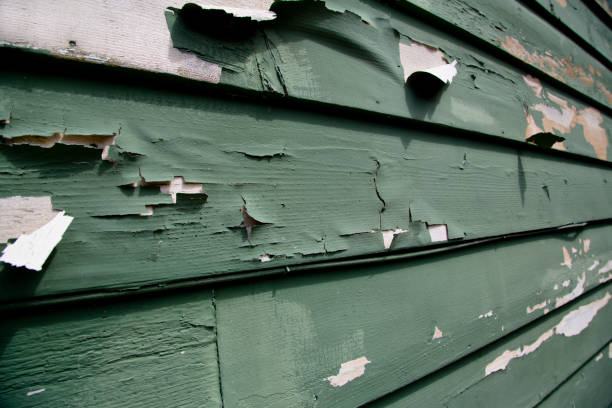 Best Construction Debris Removal  in Mantachie, MS